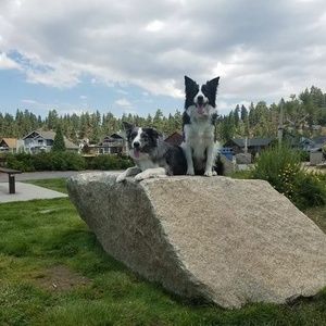 Meet your Posher, Bill